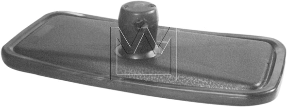 Exterior Mirror (098300372)