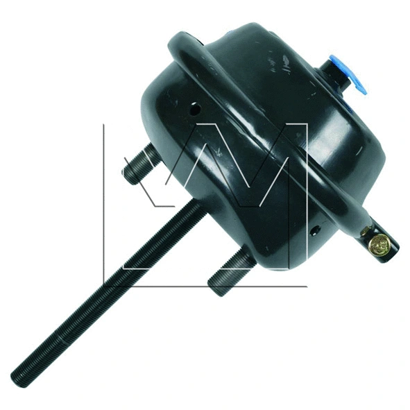 Diaphragm Brake Cylinder (028423024)