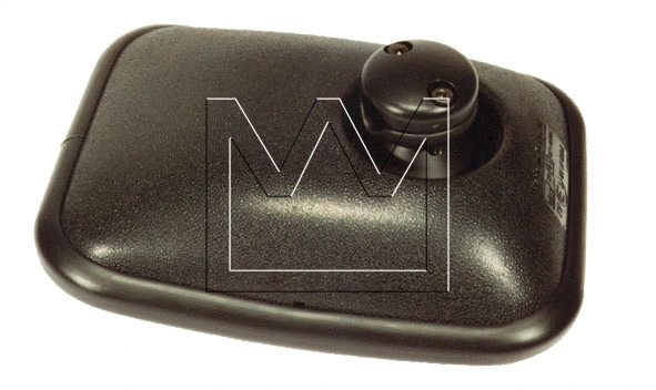 Exterior Mirror (098350215)