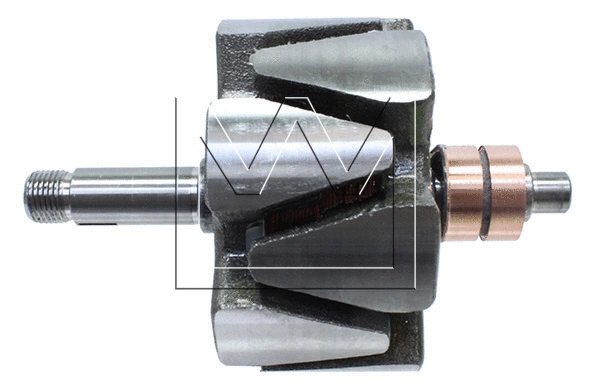 Rotor, alternator (088090062)