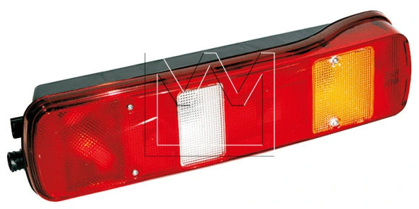 Tail Light Assembly (198214510)