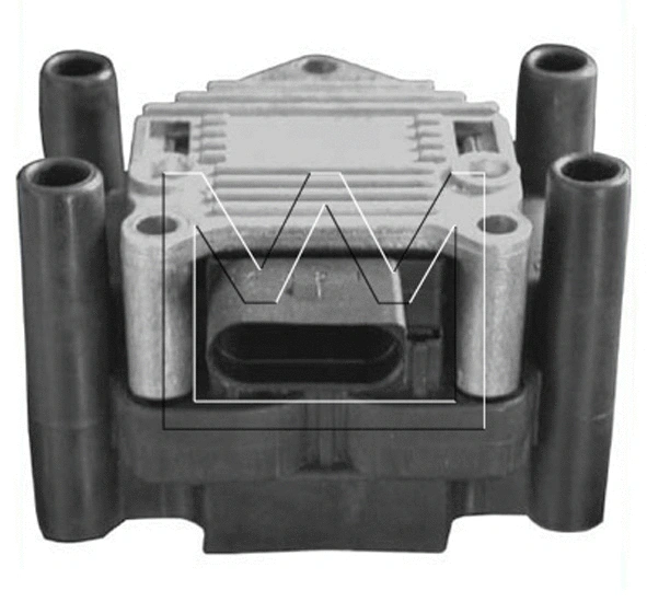 Zündspule (090421048)