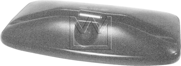 Exterior Mirror (098300296)