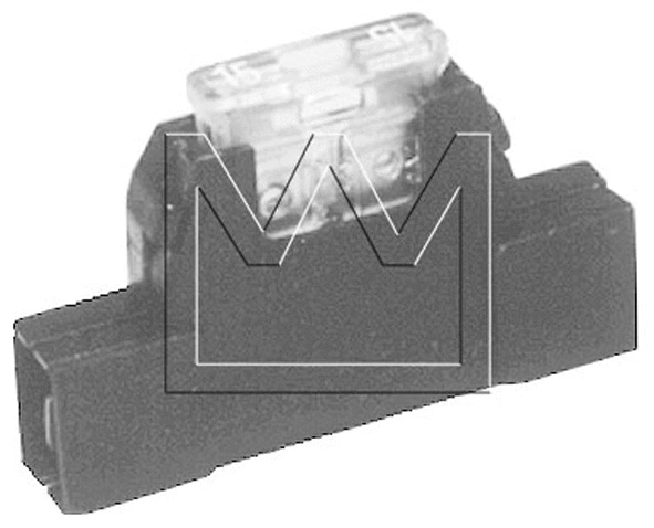 Fuse Holder (099841030)