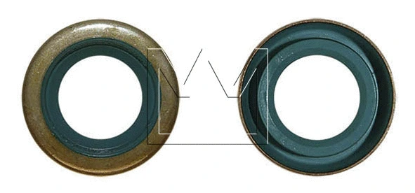 Shaft Seal (049338310)