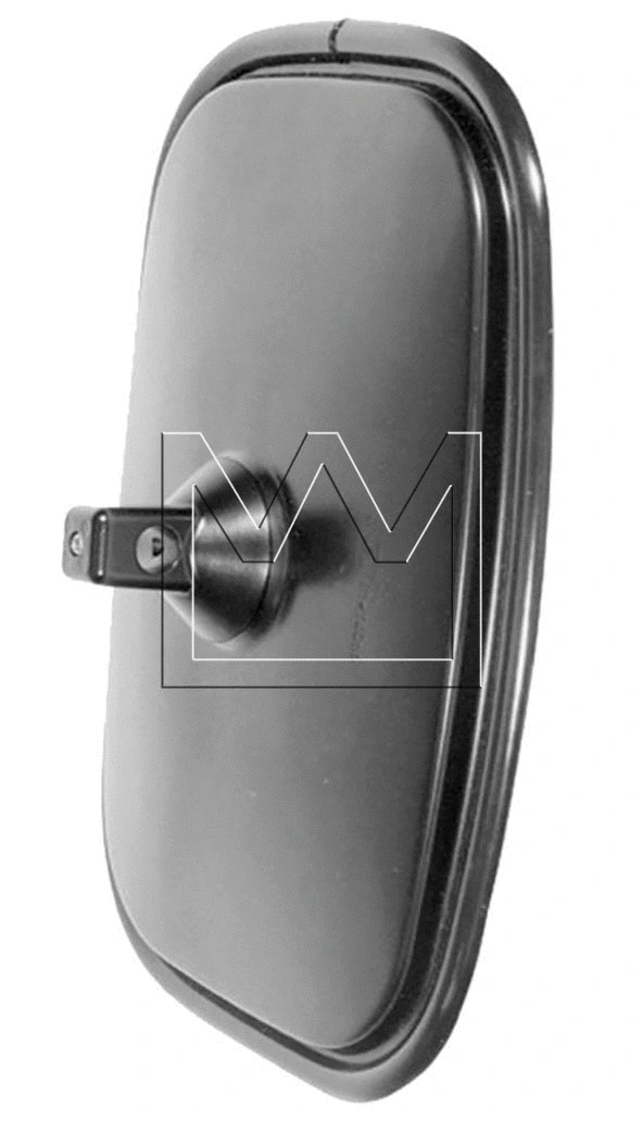 Exterior Mirror (298300280)