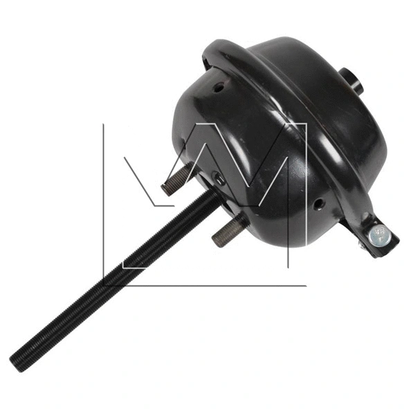 Diaphragm Brake Cylinder (028423016)