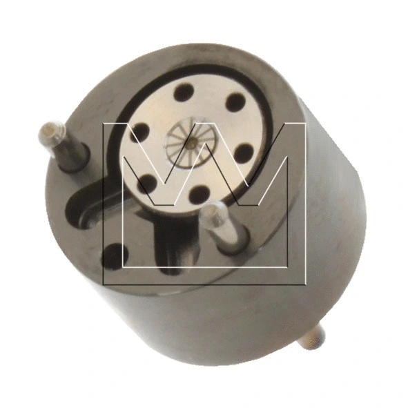 Valve, injection system (048598621)