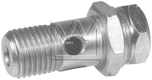Overflow Valve (046468000)