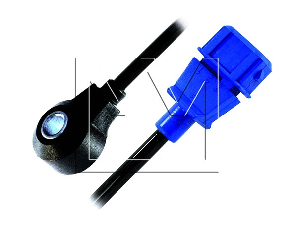 Knock Sensor (090660070)
