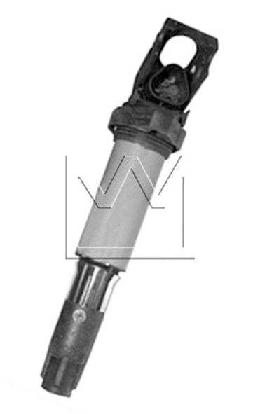 Ignition Coil (090704100)