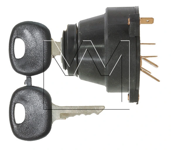 Ignition Switch (083872012)