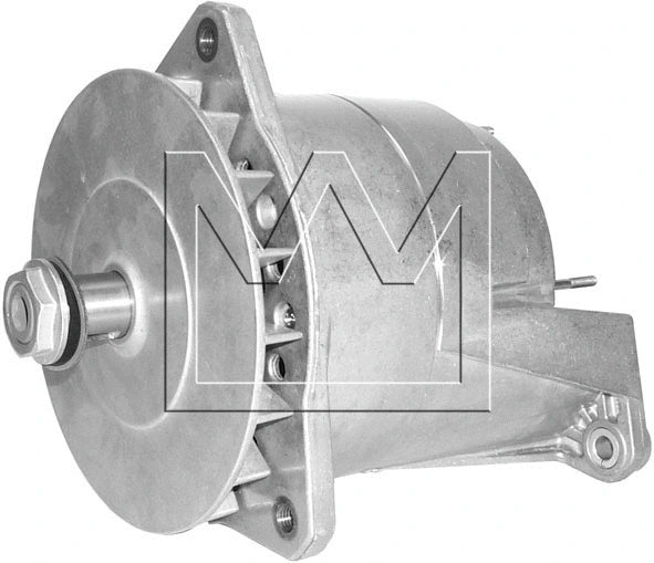 Alternator (081799541)
