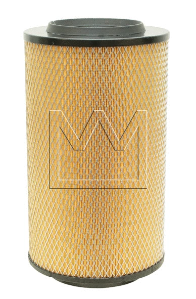 Air Filter (030782170)