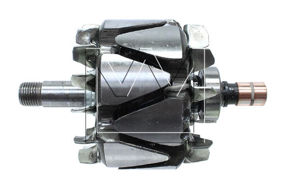 Rotor, alternator (088089611)