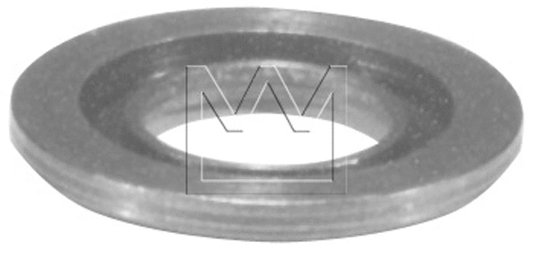 Heat Shield, injection system (045556072)