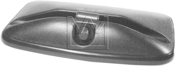 Exterior Mirror (098300370)