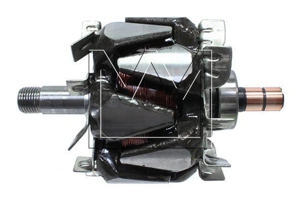 Rotor, alternator (095855144)