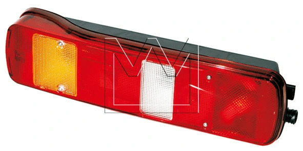 Tail Light Assembly (198214515)