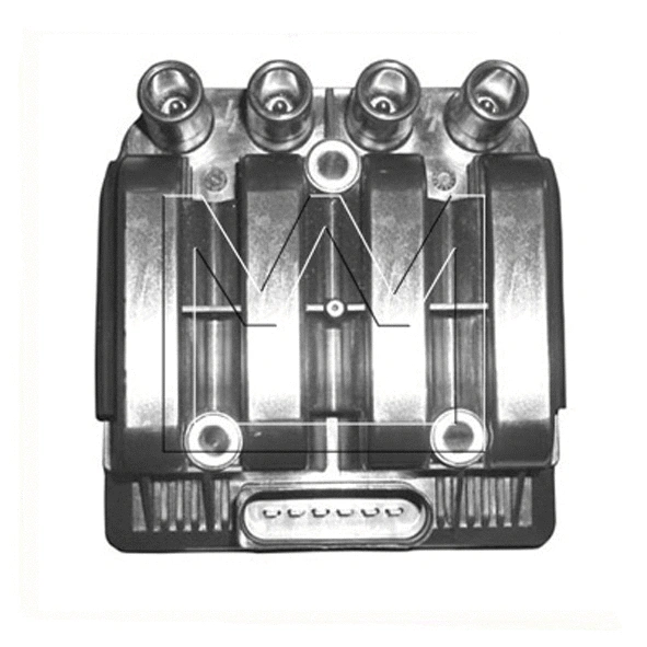 Zündspule (090421029)