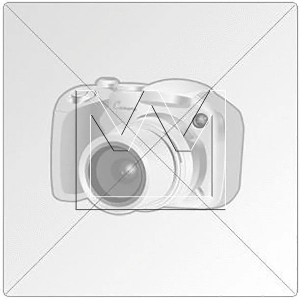 Wiper Blade (500132603)