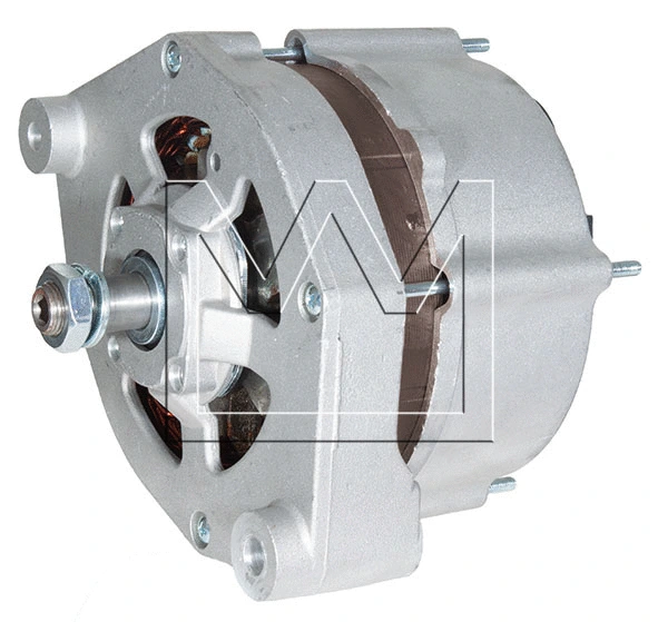 Alternator (081769014)