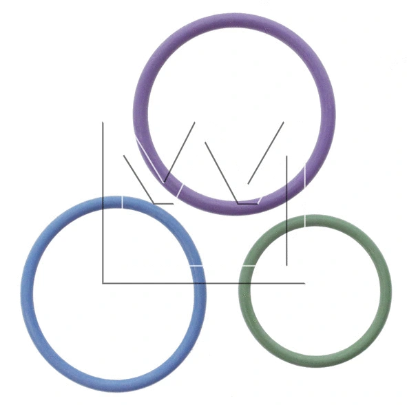 Repair Kit, unit injector (051099999)