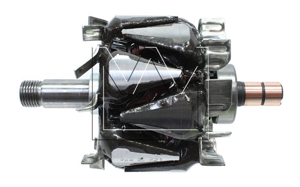 Rotor, alternator (095855821)