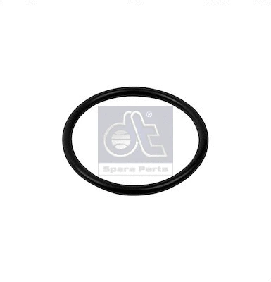 Seal, thermostat (11.22015)