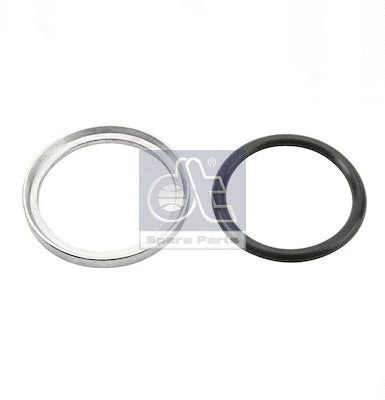 Seal Ring, dryer (4.20033)