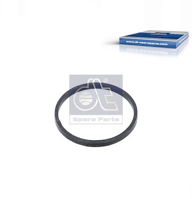 Seal, thermostat (4.20112)