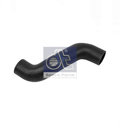Radiator Hose (4.81309)
