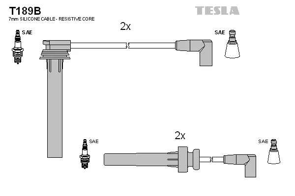 Ignition Cable Kit (T189B)