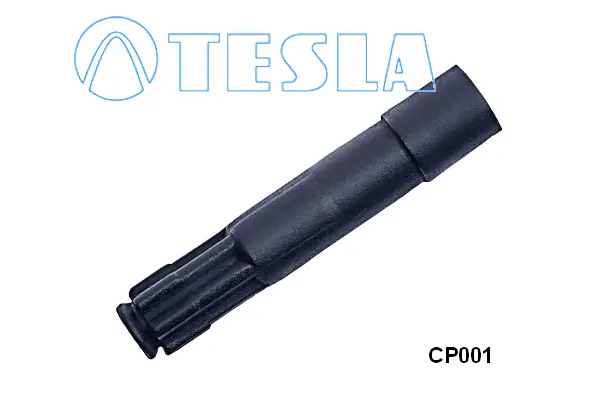 Plug, spark plug (CP001)