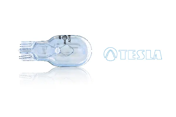 Bulb, direction indicator (B66101)