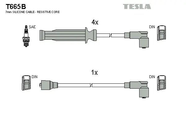 Ignition Cable Kit (T665B)