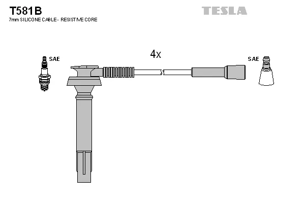 Ignition Cable Kit (T581B)