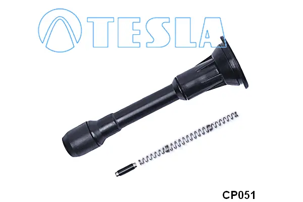 Plug, spark plug (CP051)