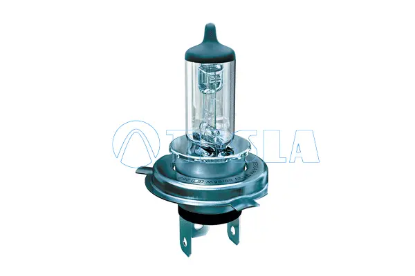 Bulb, spotlight (B10401)
