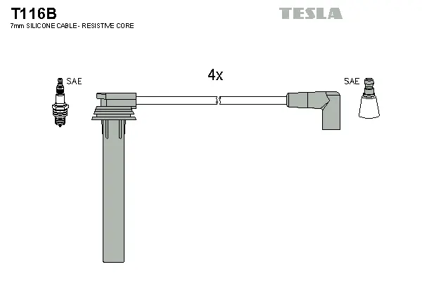 Ignition Cable Kit (T116B)