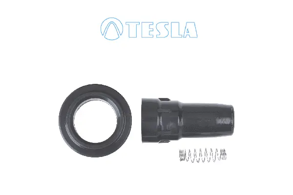 Plug, spark plug (CP080)