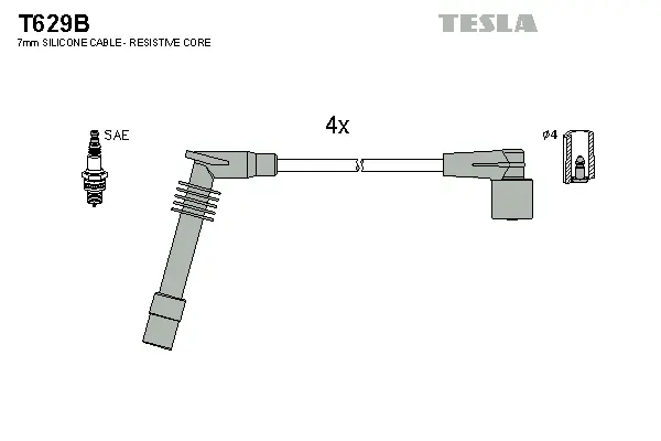 Ignition Cable Kit (T629B)