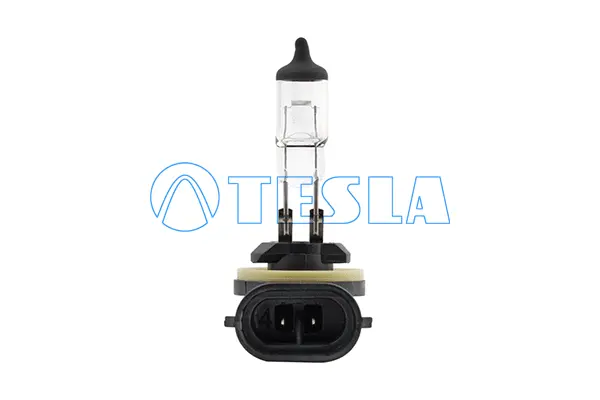 Bulb, front fog light (B12721)