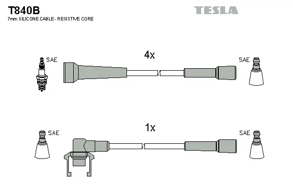 Ignition Cable Kit (T840B)