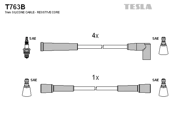 Ignition Cable Kit (T763B)