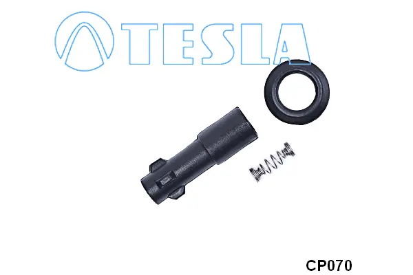 Plug, spark plug (CP070)
