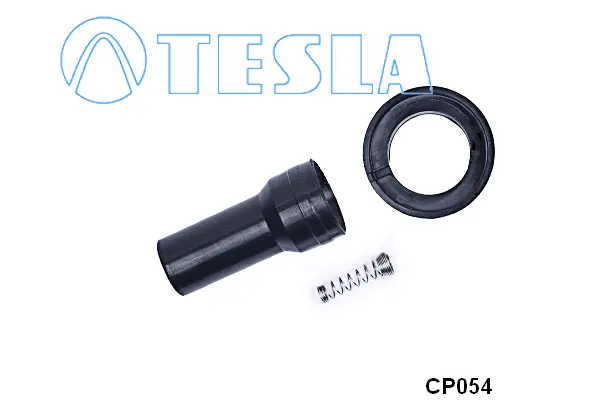Plug, spark plug (CP054)
