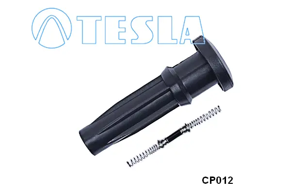 Plug, spark plug (CP012)