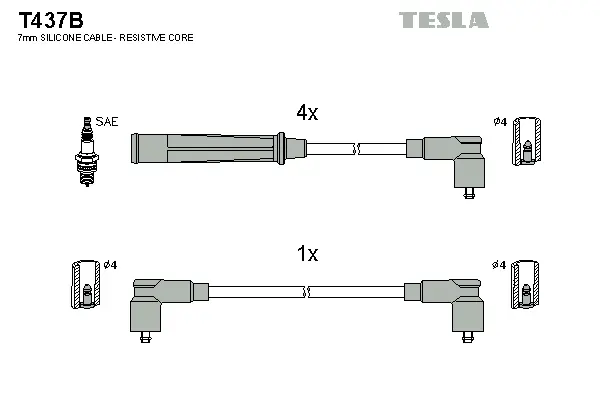 Ignition Cable Kit (T437B)