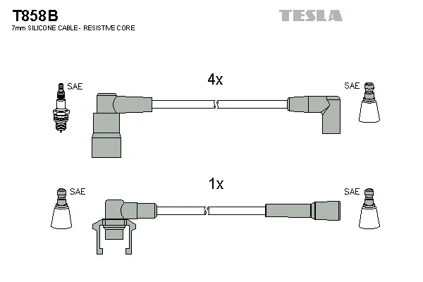 Ignition Cable Kit (T858B)